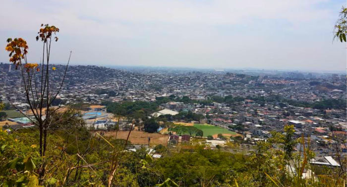SAN EDUARDO