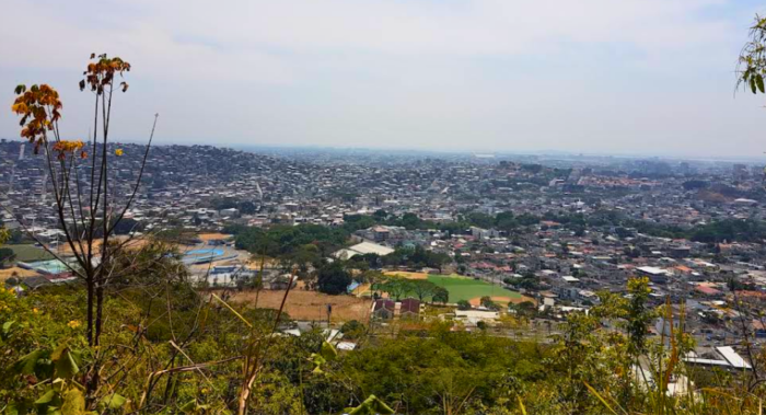 SAN EDUARDO
